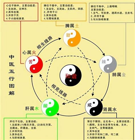 水木五行|水与木 的关系？